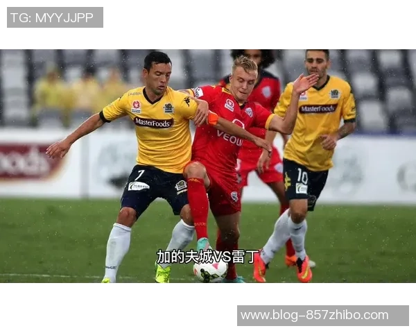 加的夫城与雷丁的对决分析及双方近期状态评估