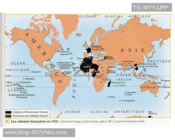 塞内威亚与阿尔及利亚的激烈对决揭示非洲足球的魅力与潜力